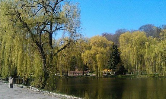 Spacery w Parku Oruńskim